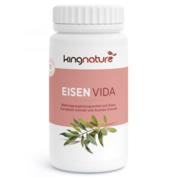 KINGNATURE Eisen Vida Kaps 21 mg Ds 100 Stk