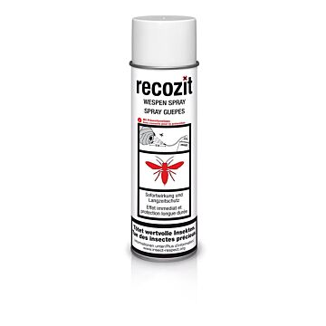 RECOZIT Wespen Spray 500 ml