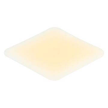 COMPEED Pflaster Ballenschutz M 5 Stk