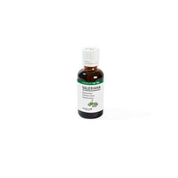 TOP TEN GID Valerianae tinct PhEur 50 ml