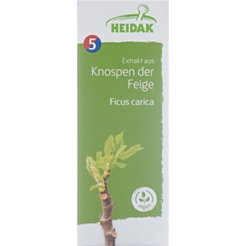 HEIDAK Knospe Feige Ficus carica Glyc Maz 30 ml