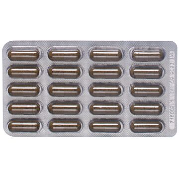 PADMA NERVOBEN Kaps 60 Stk