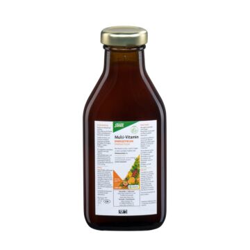 SALUS Multi-Vitamin Energetikum Fl 250 ml